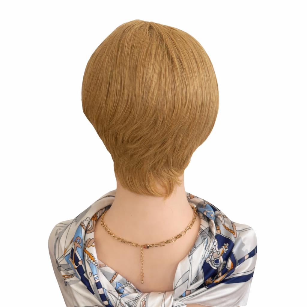 DY009WIG