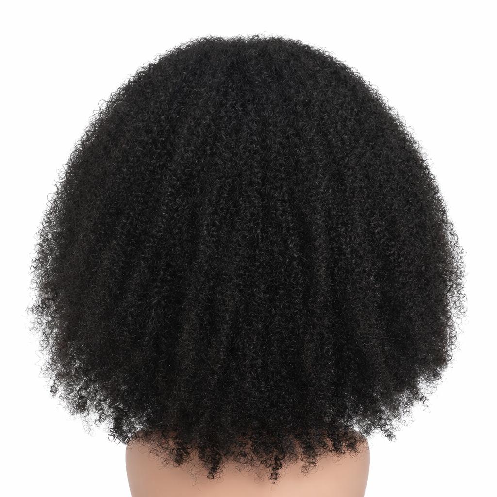AFR CURLY 360 LACE FRONT 20 INCH